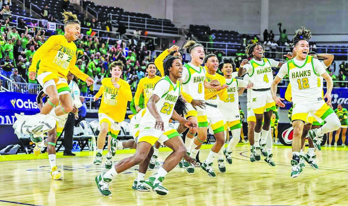 Zwolle Hawks back on top after latest championship win