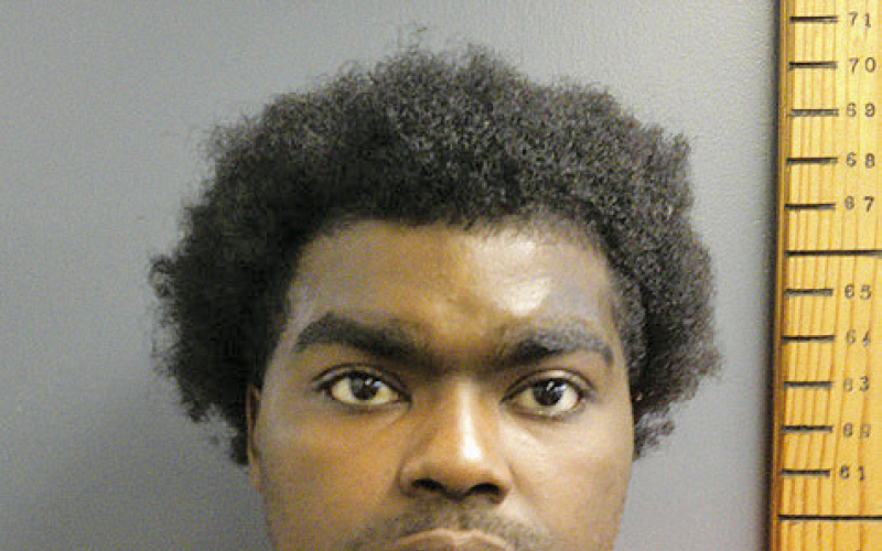 Shepherd arrested due to illegal drug sales