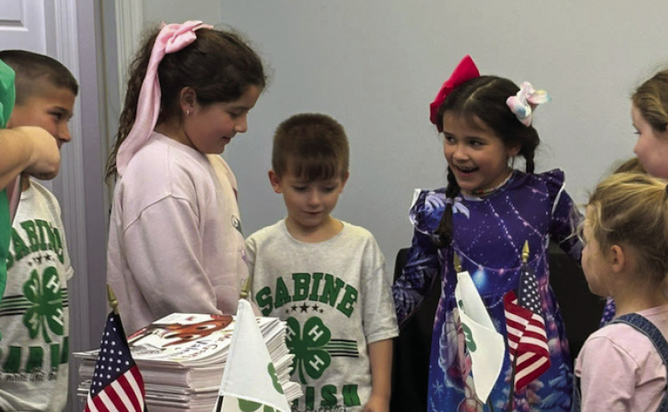 4-H Cloverbuds hold February meeting