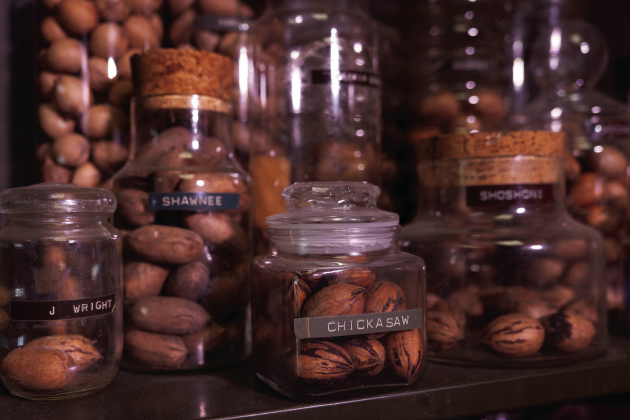Michael Polozola, LSU AgCenter fruit and nut specialist, has a large collection of pecans that he uses to identify samples sent to him by constituents. Photo by Olivia McClure/LSU AgCenter