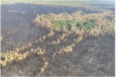 La. Guard aviators, engineers execute rapid response to Pirates Cove wildfires