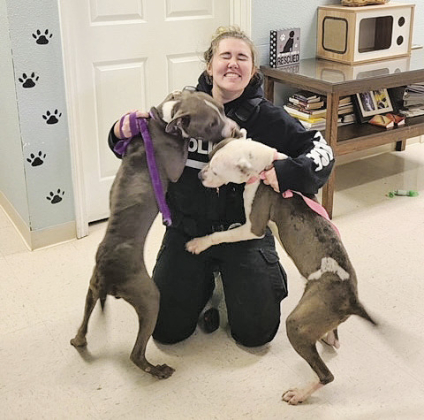 Tajarez White arrested on charges of animal abuse following discovery of two starving, emaciated dogs
