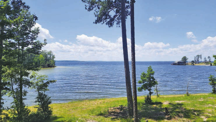 Sabineland Staycation: South Toledo Bend