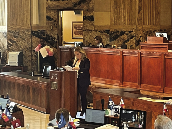 Rep. Julie Emerson proposed a bill that could lead to a further cut in state income tax rates (Photo courtesy P iper Hutchinson)