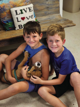 Humane Society lowers adoption fees