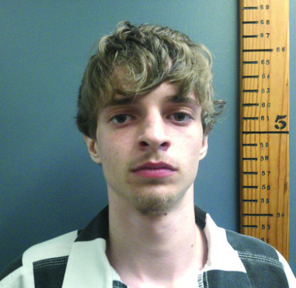 Traffic stop yields multiple arrests