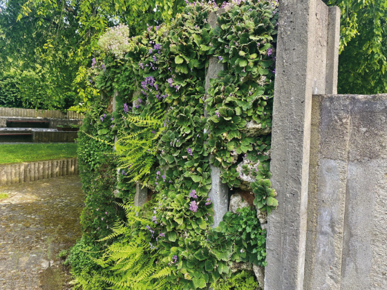 Tiny gardens, big harvests: Growing vegetables in small spaces