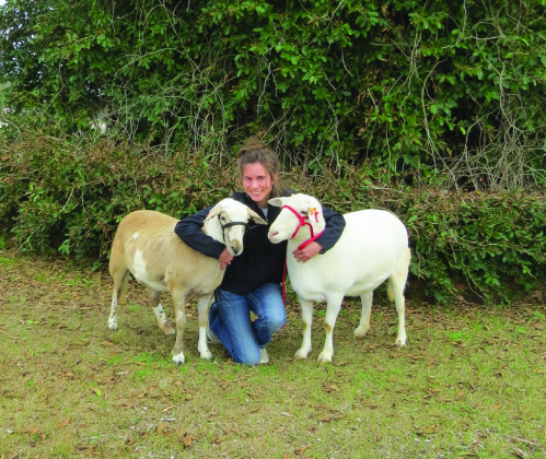 Kathryn LeBlanc showed sheep during her time in Acadia Parish 4-H. Photo provided by Kathryn LeBlanc