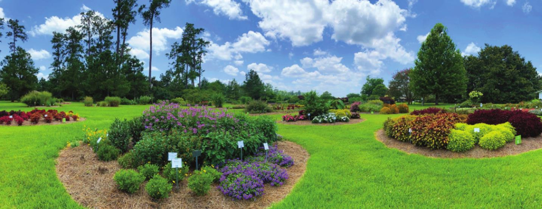 Take advantage of trial garden evaluations