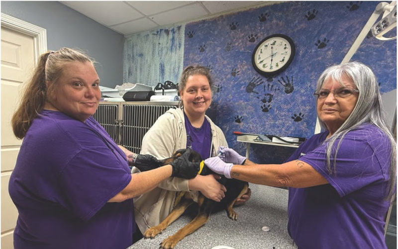 Kristy Sepulvado and Ginny Barker assist Shelter Manager Lisa Butler as they microchip and register a dog at the Sabine Animal Shelter. Microchipping and registration of a pet dog or cat is free and a service offered by the Sabine Animsl Shelter.
