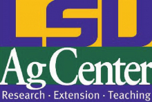 LSU AgCenter offers financial, marketing training for new farmers