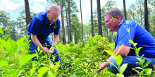 McNeese University senior gains real-world experience at LEAF Center at Hodges Gardens